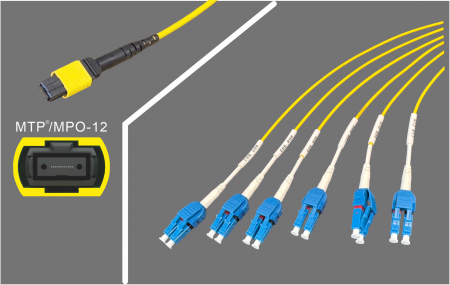 MPO-12 đến Lắp ráp LC - MPO-12 đến 6 x Duplex LC OS2 Lắp ráp